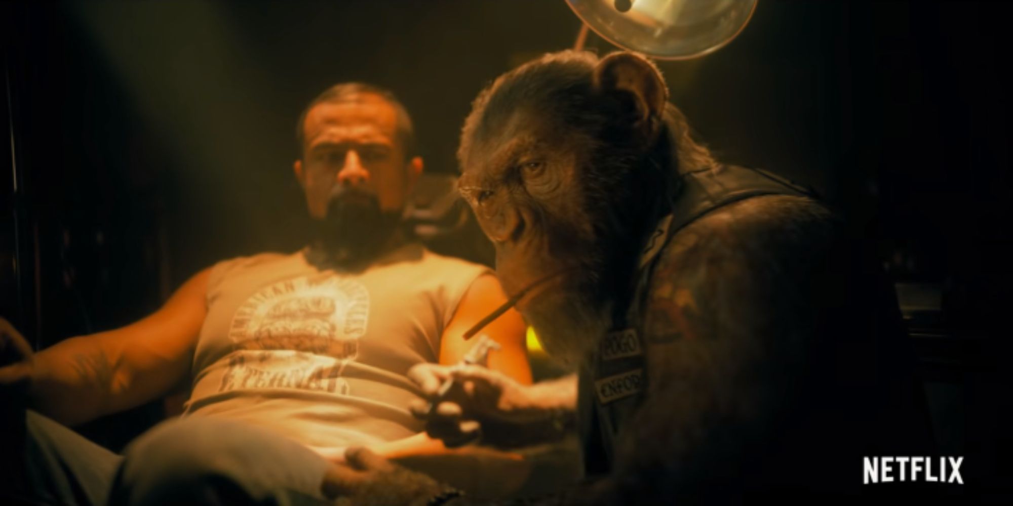 A chimpanzee tattooing a man