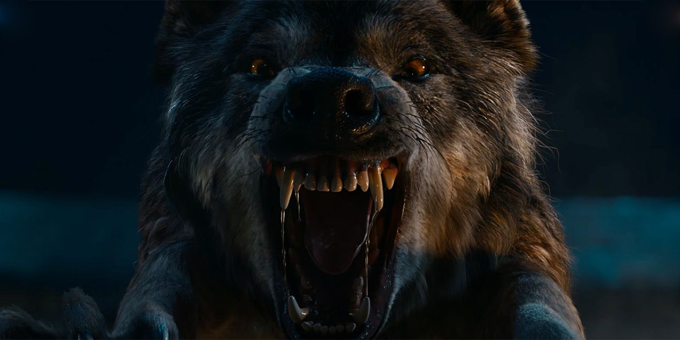 Bhediya Trailer Shows Varun Dhawan in Bollywood Werewolf Comedy