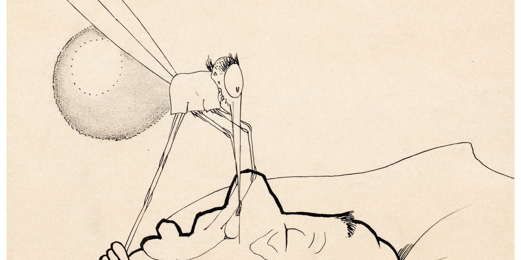 how a mosquito operates0