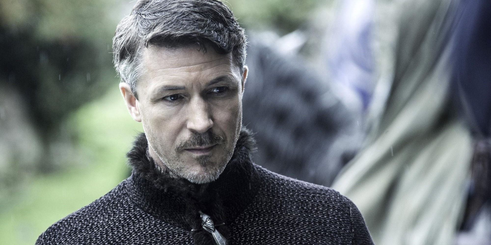 Aiden Gillen as Petyr 