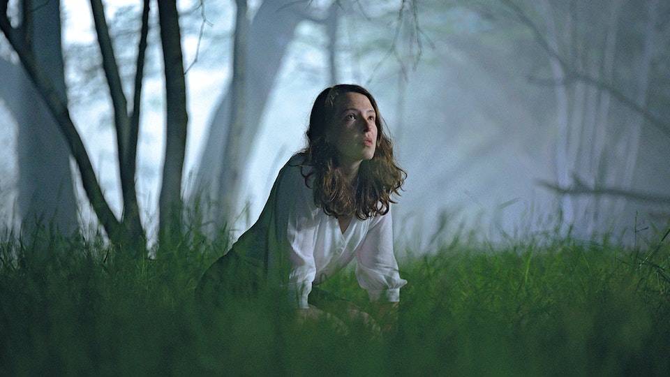 The Feast (2021) The Feast (2021)