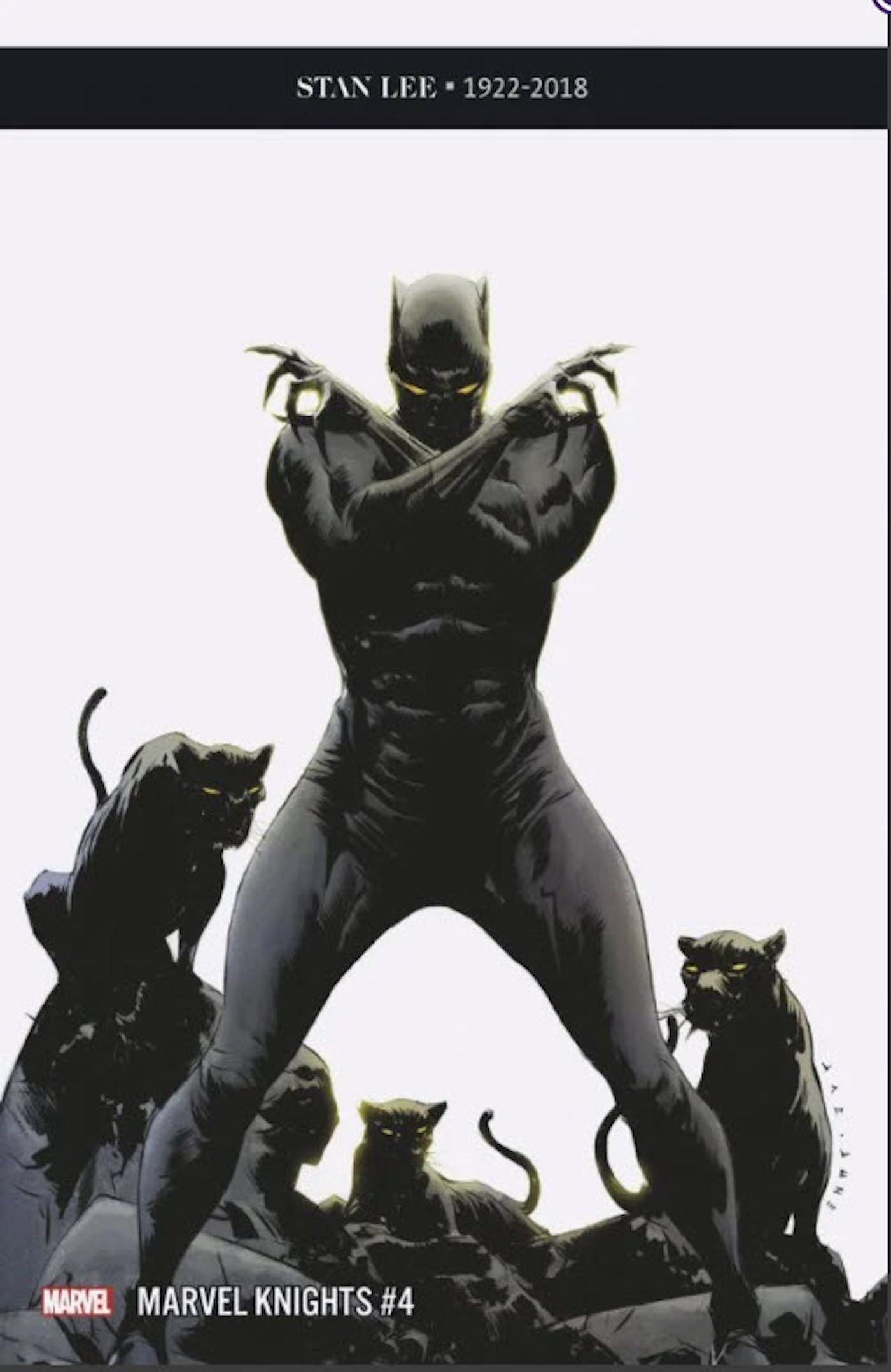 1. Black Panther Marvel Knights 20th 4 variant