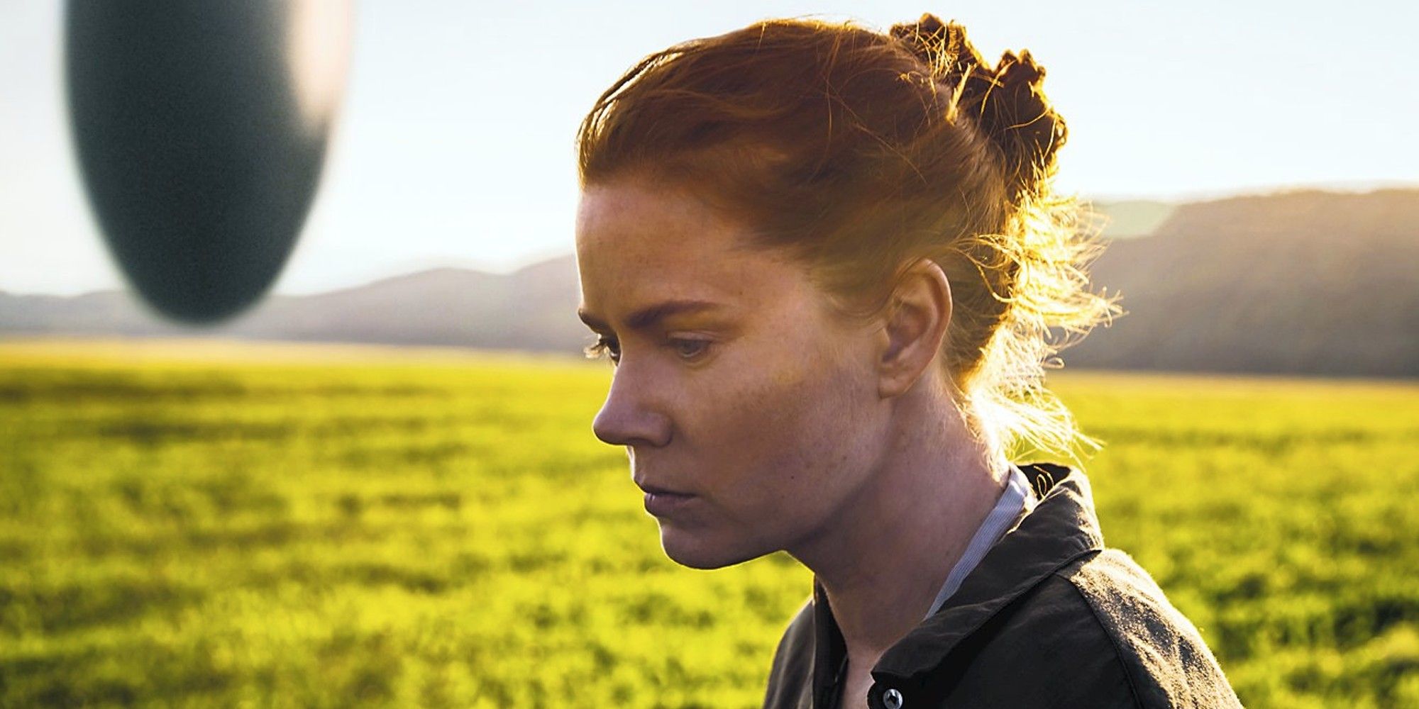 Louise Banks stands on the field looking pensive in the movie Arrival.