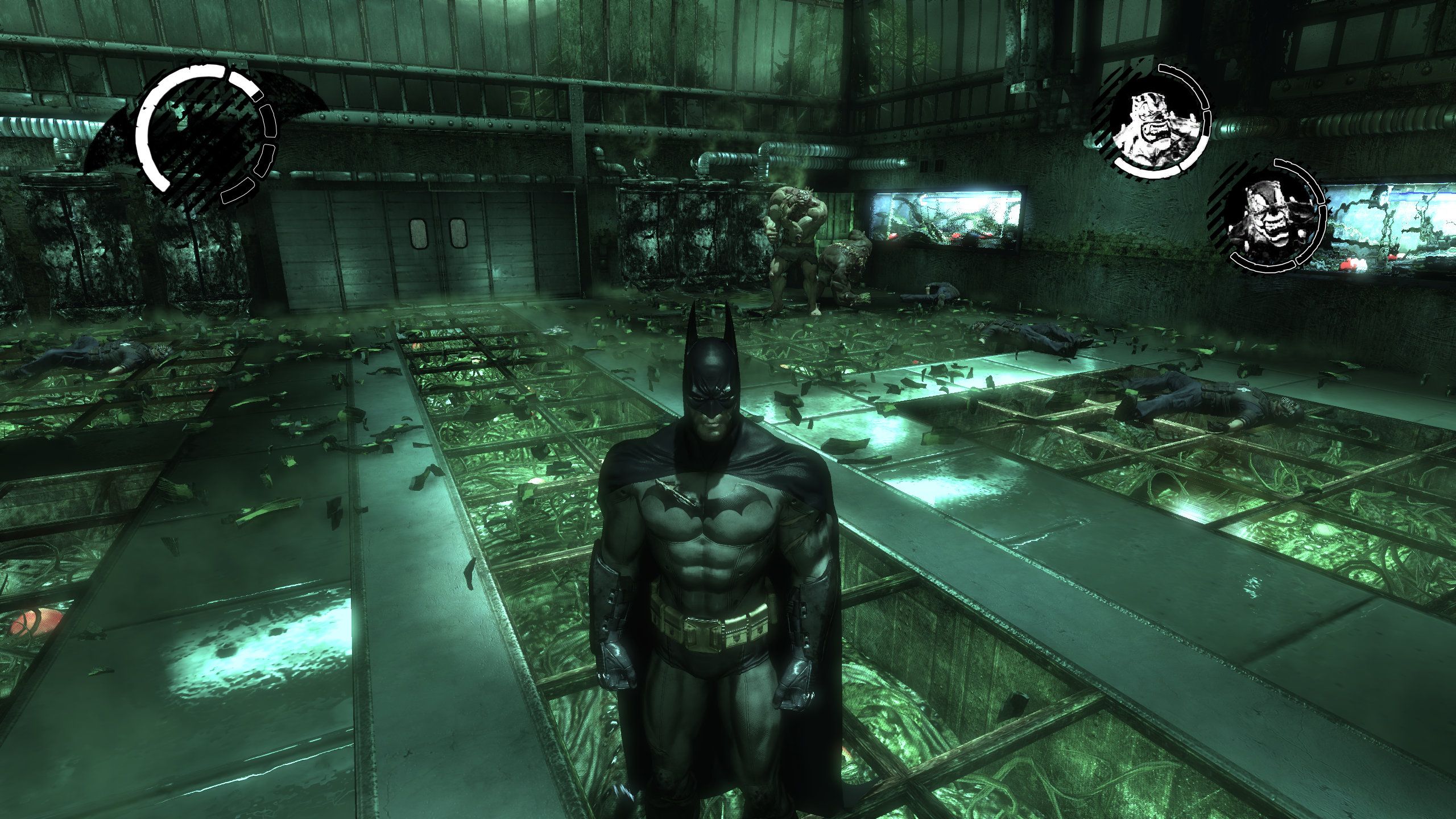 Batman Arkham Asylum video game