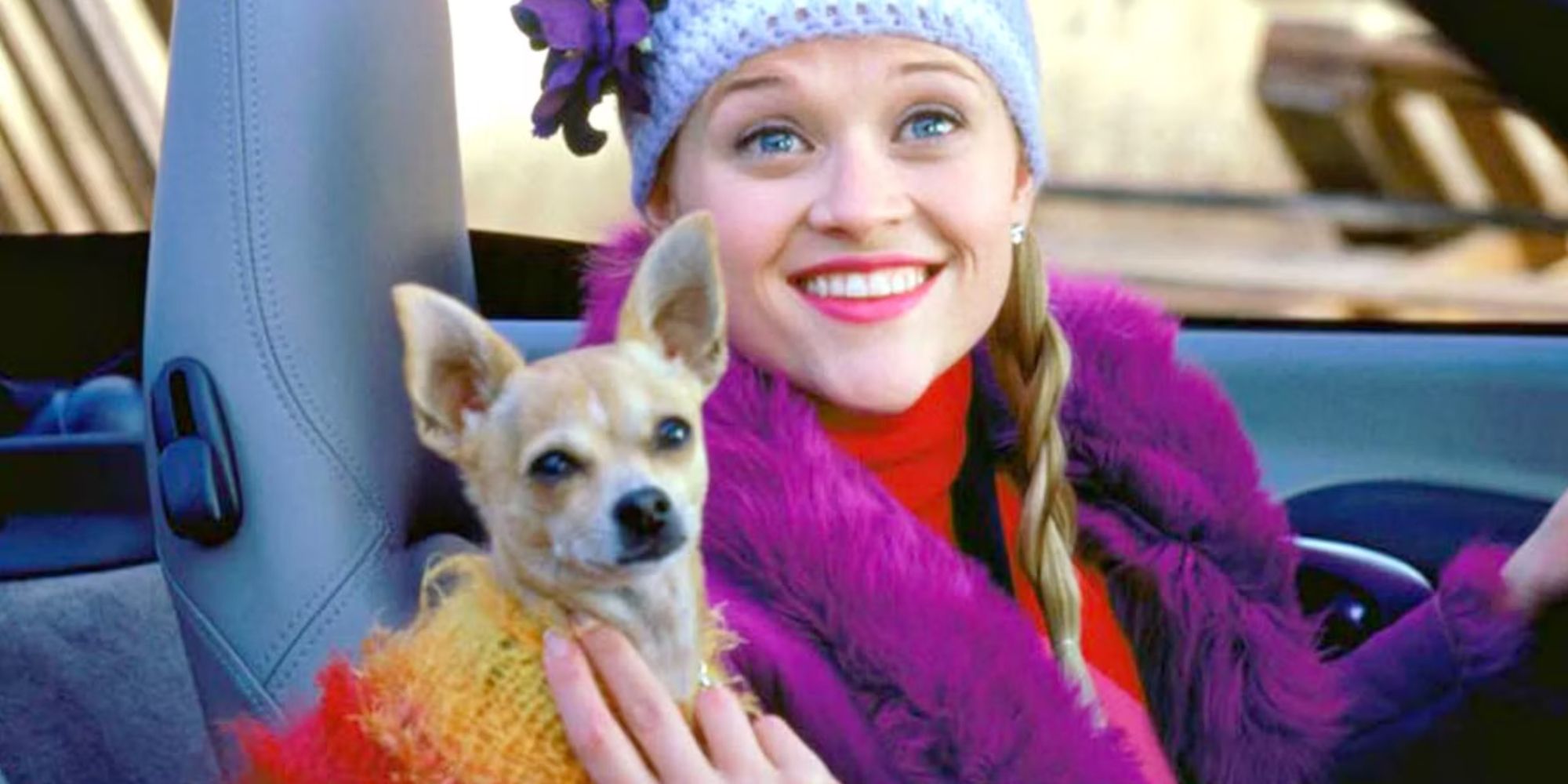 Reese Witherspoon dans le rôle d'Elle Woods avec Bruiser Woods dans une voiture dans Legally Blonde