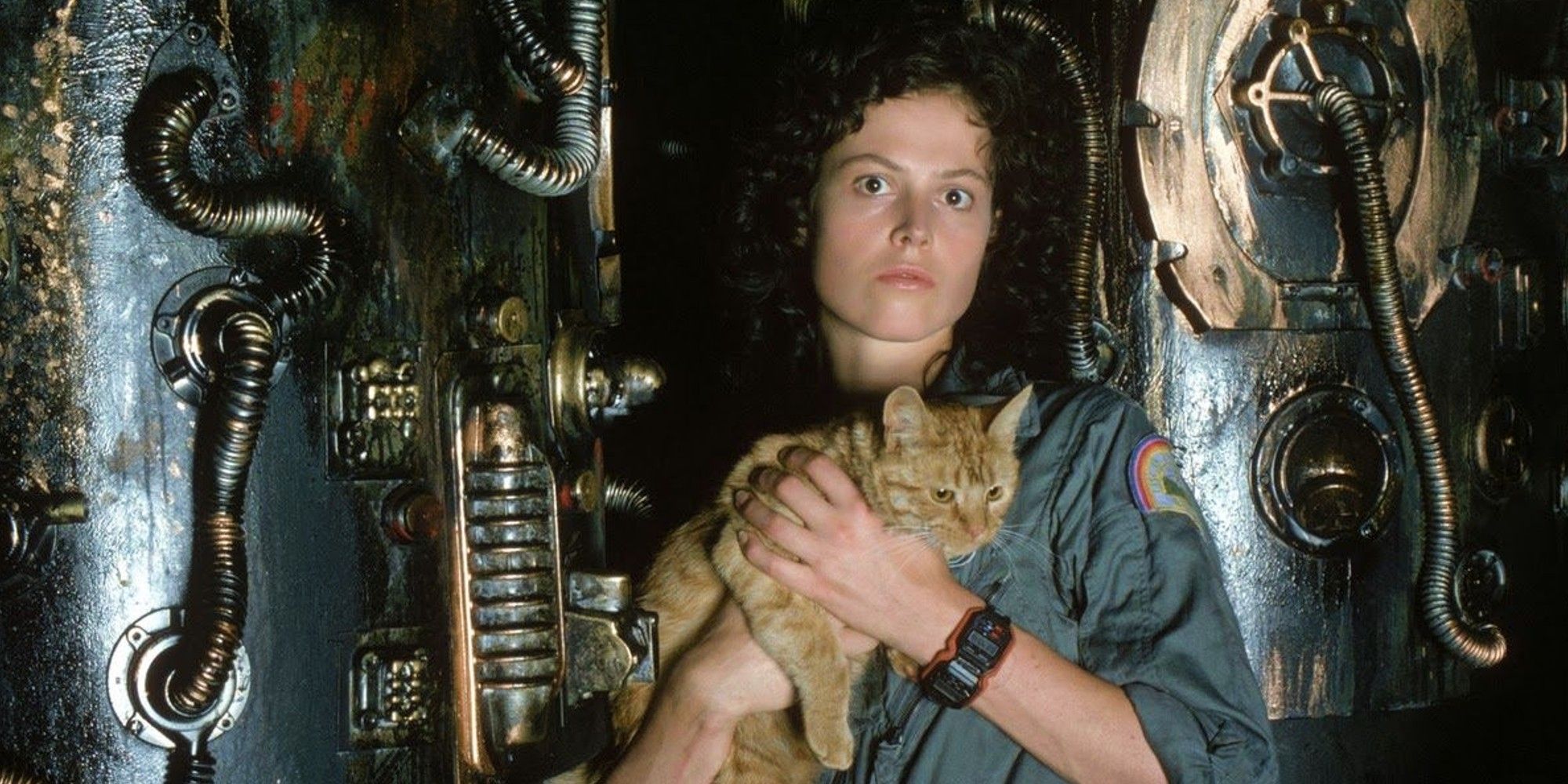 Jonesy in 'Alien'