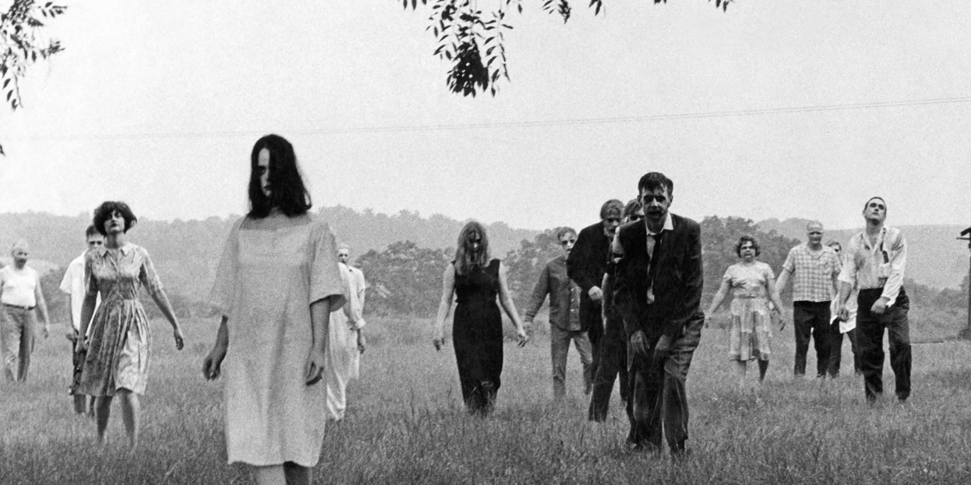 A field of zombies in 'Night Of The Living Dead'