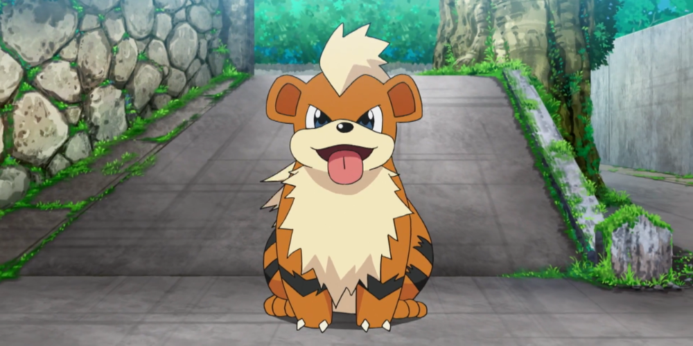 A growlithe panting and looking cute