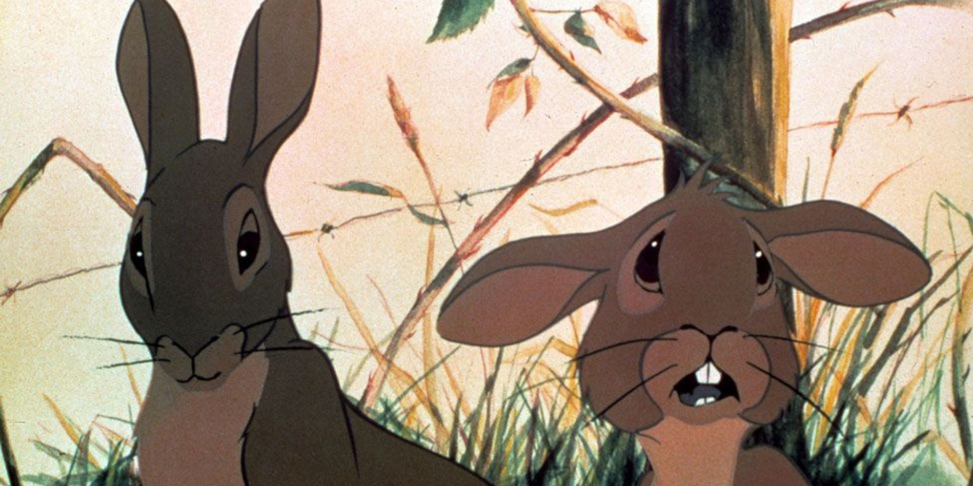 Two rabbits in the forest in Watership Down (1978)
