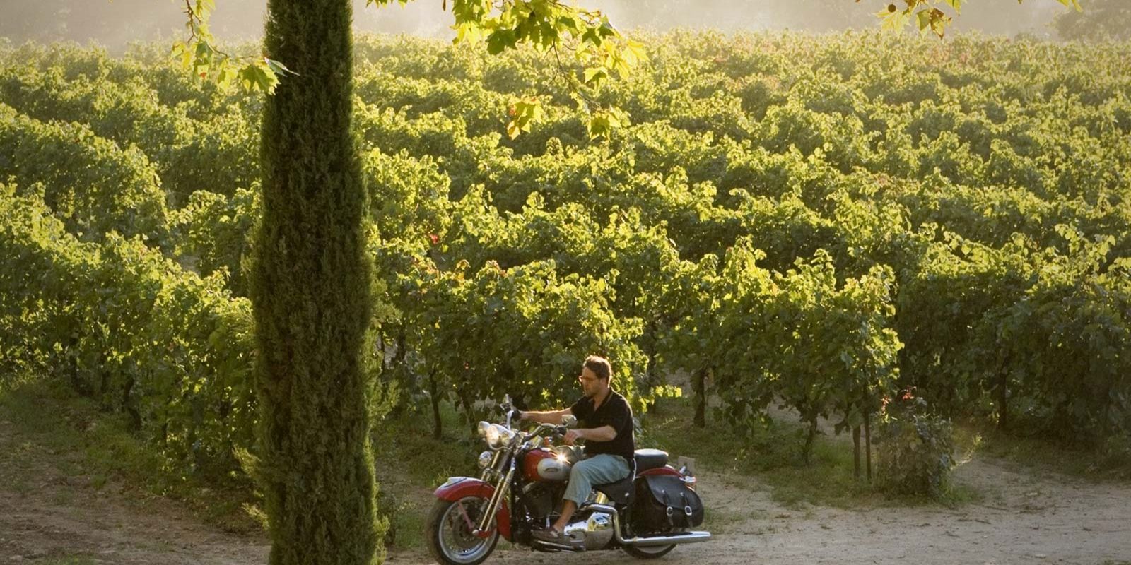 a good year russell crowe motorcycle vineyards