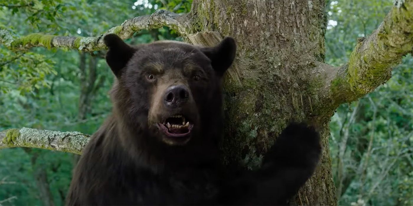 a bear in a tree in Cocaine Bear the movie