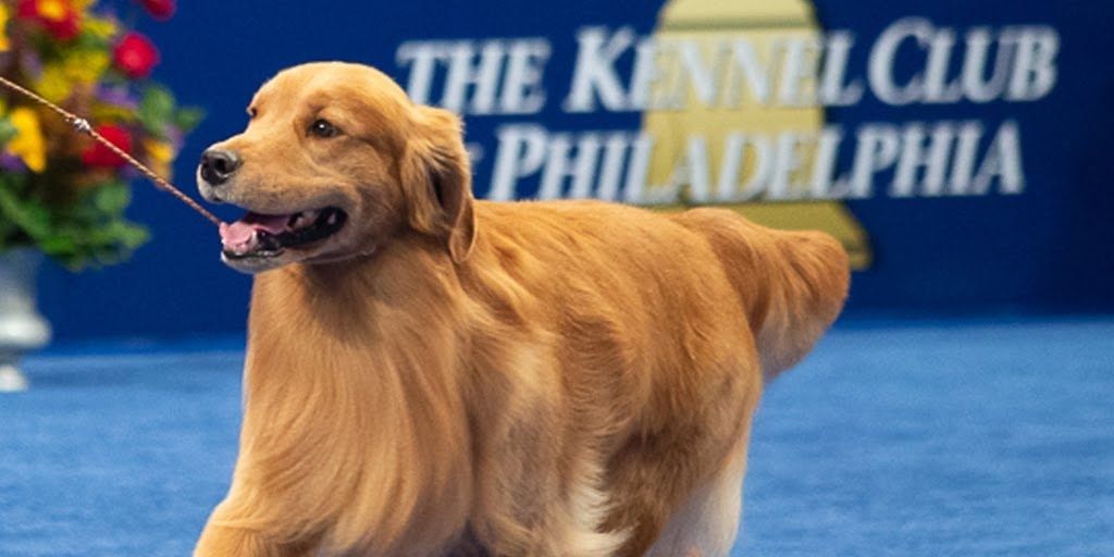 From 'Friends' to 'How I Met Your Mother' 10 Memorable Thanksgiving