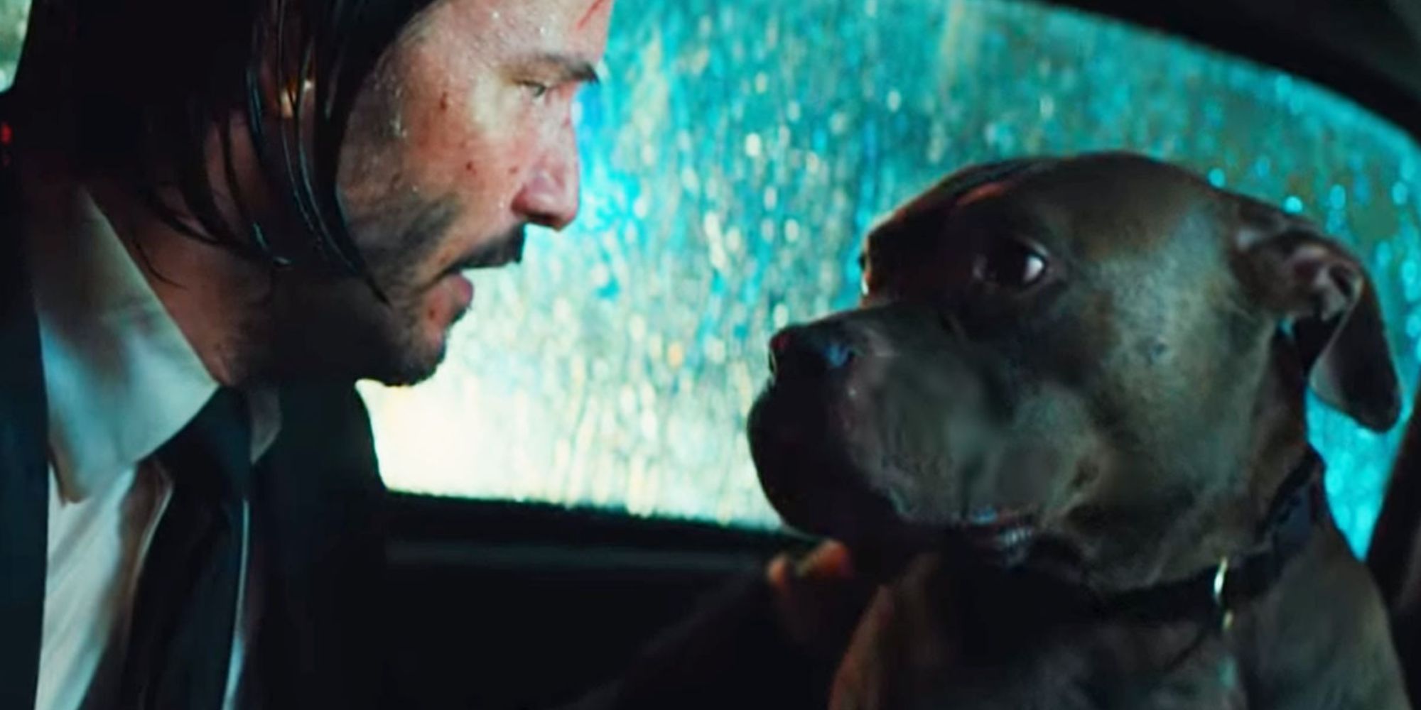 « John Wick » et 9 autres films avec des personnages canins sympas