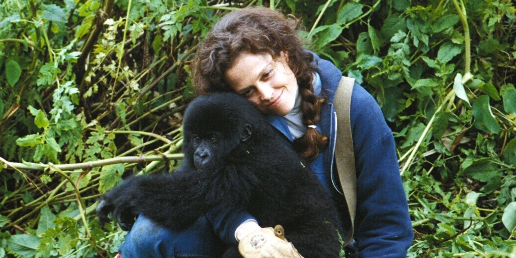 Sigourney Weaver as Dian Fossey in Gorillas in The Mist