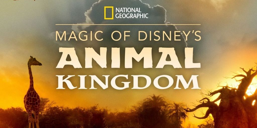The magic of Disney's Animal Kingdom