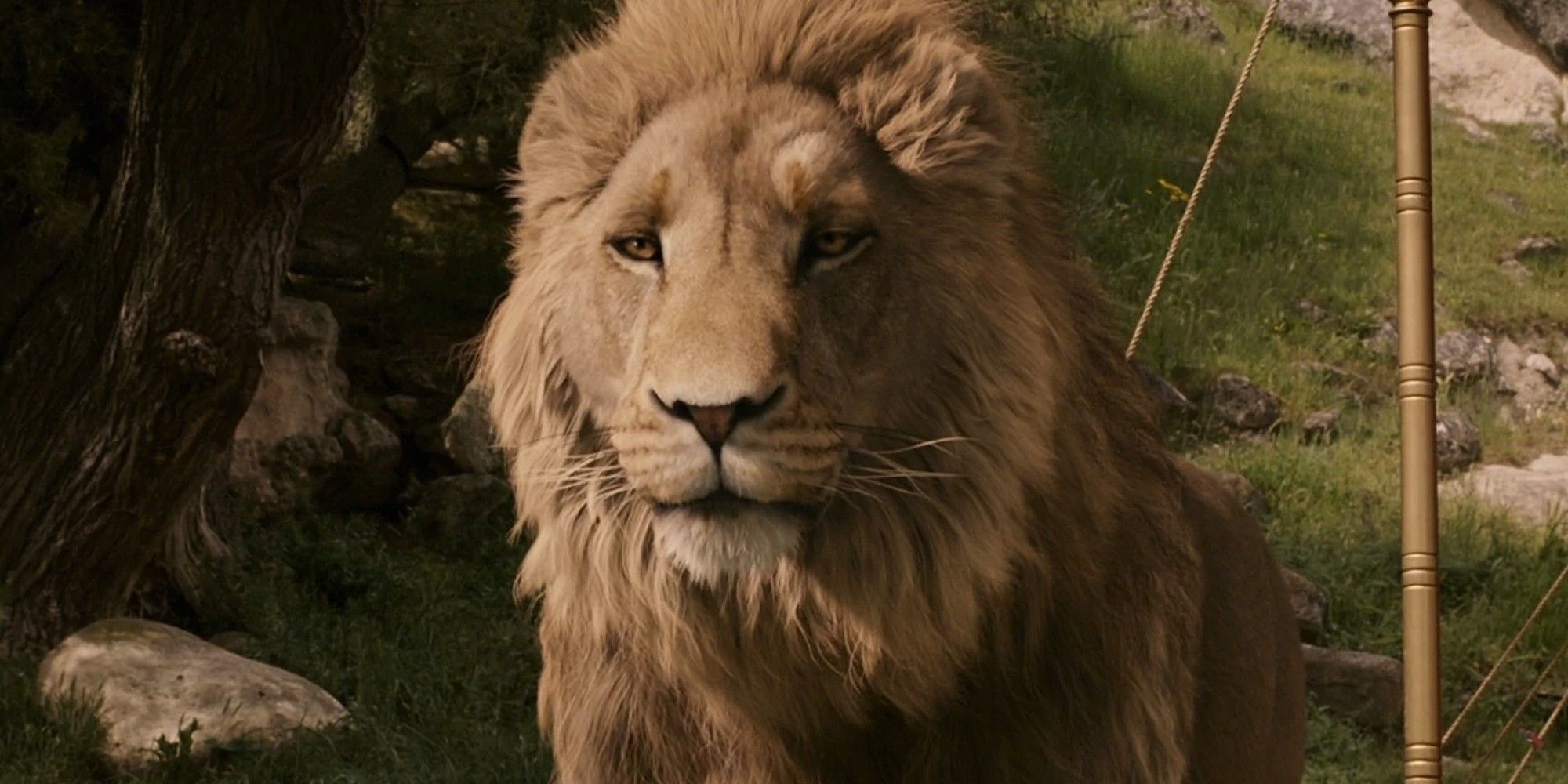 Aslan em 'As Crônicas de Nárnia: O Leão, a Feiticeira e a Capa'