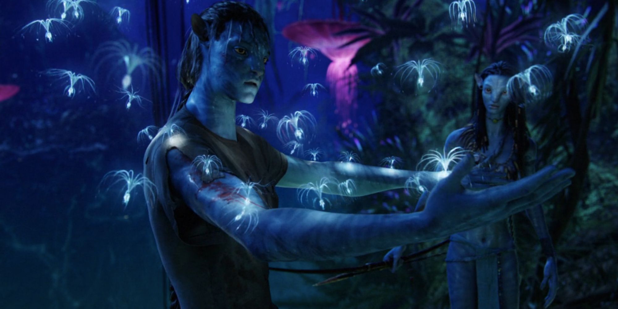 Jake Sully (Sam Worthington) coberto de sementes em Avatar enquanto Neytiri assiste (Zoe Saldaña)