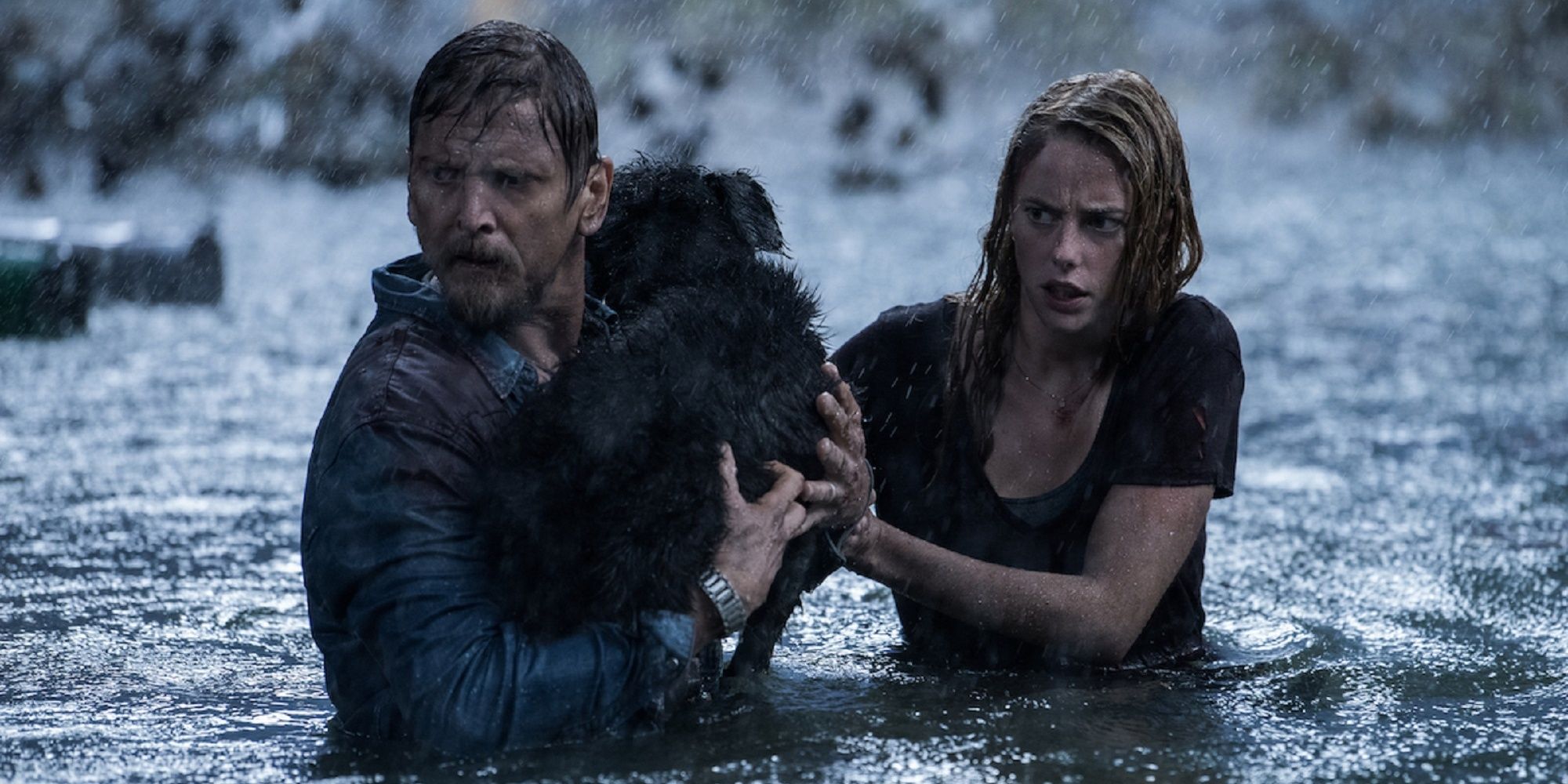 The dog, Sugar, being rescued by her family in the hurricane waters in 'Crawl.'