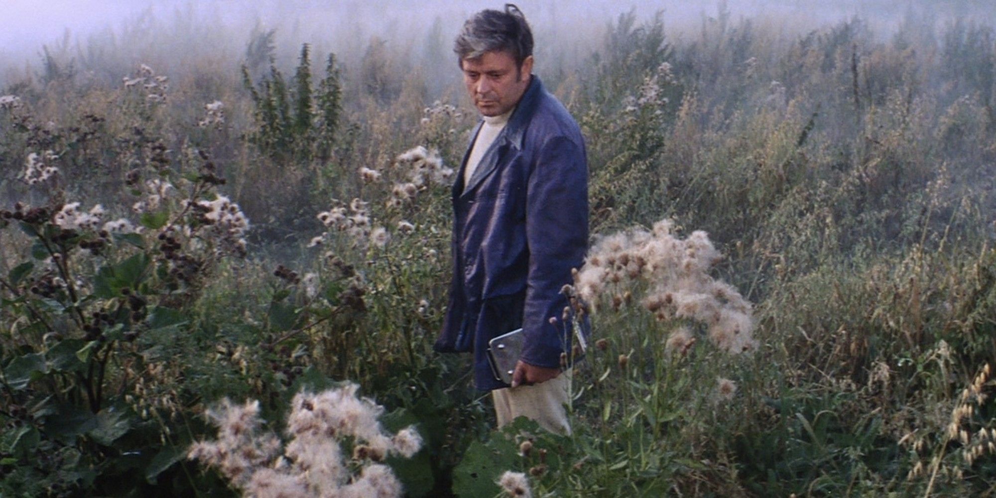 Donatas Banjonis as Kris Kelvin in the middle of a flower field in Andrei Tarkovsky's 'Solaris' (1972)