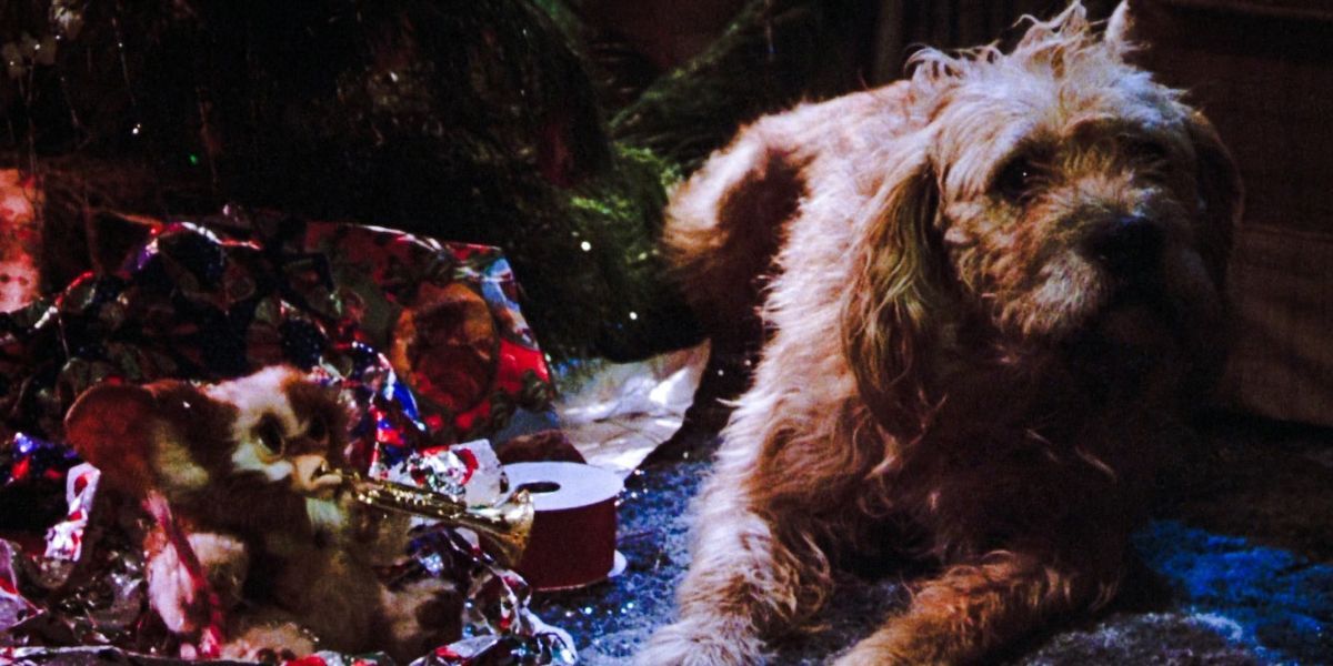 Gizmo and Barney the Dog under the Christmas tree in Gremlins