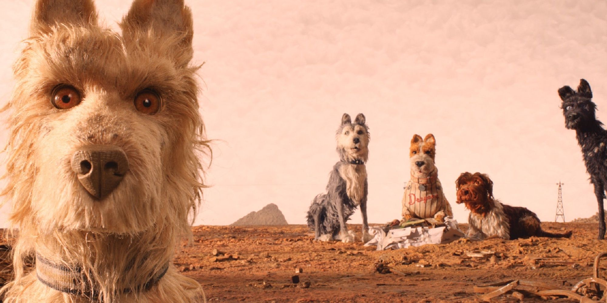 Spots and his dog friends on Trash Island in 'Isle of Dogs.'