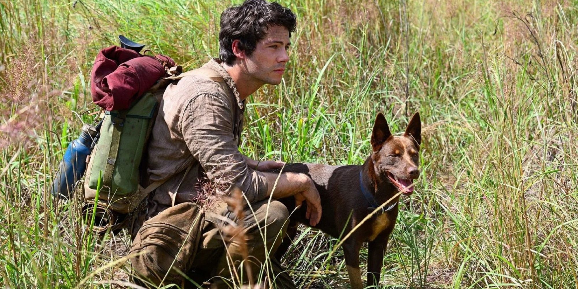 Joel and Boy together in a grass field in 'Love and Monsters.'