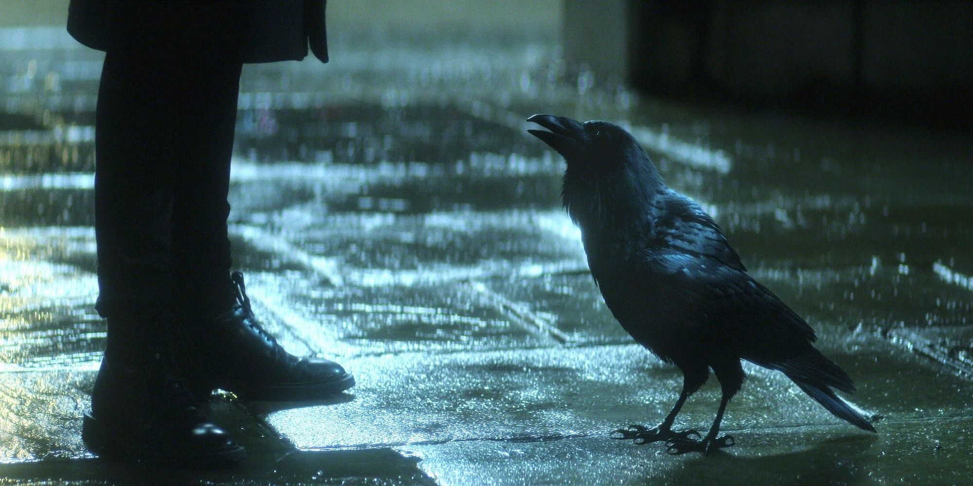 Matthew, the Raven, looking up at Dream while speaking to him from the rainy ground.