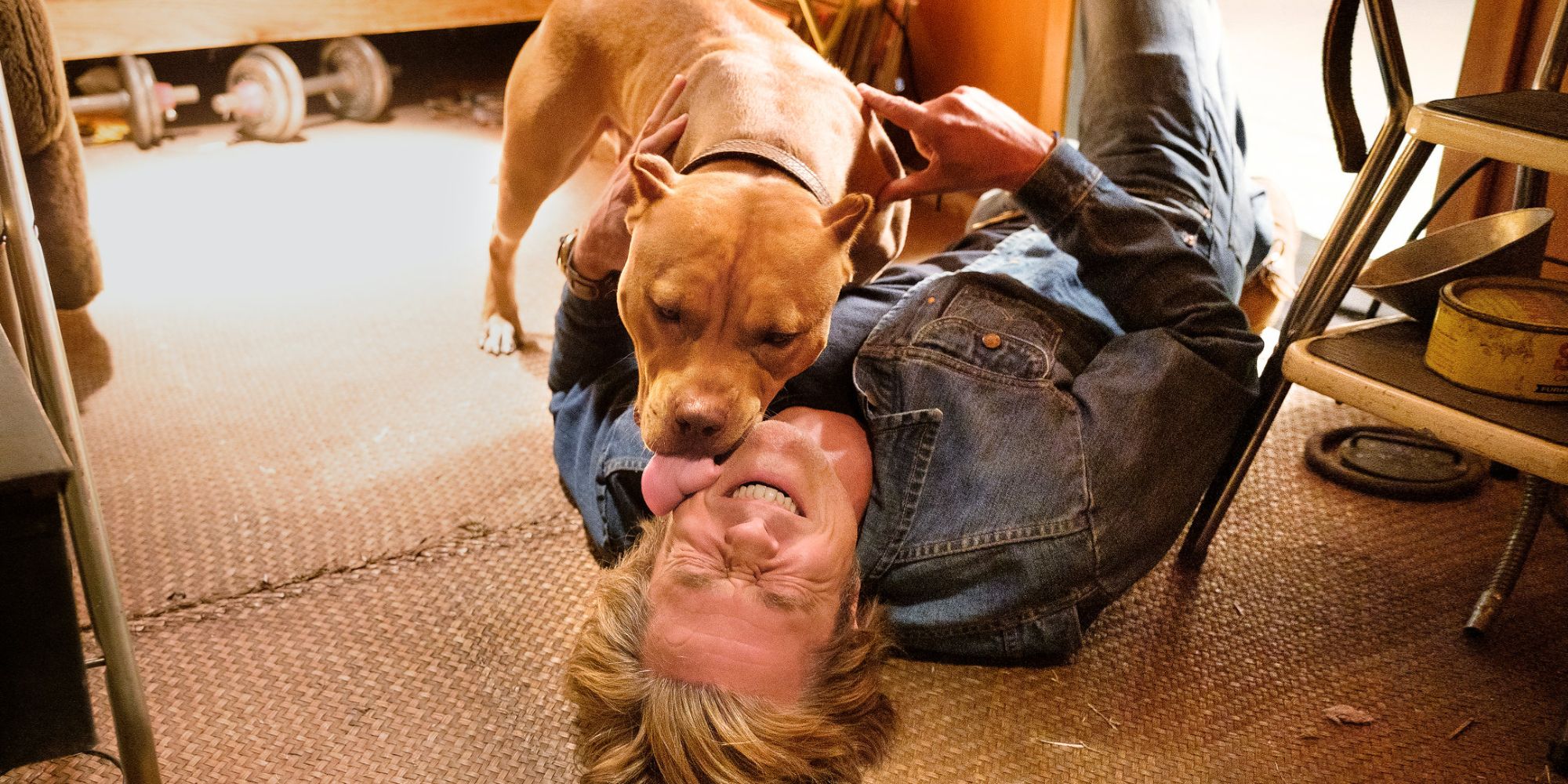 Brad Pitt e o cachorro em Era uma vez em Hollywood - 2019