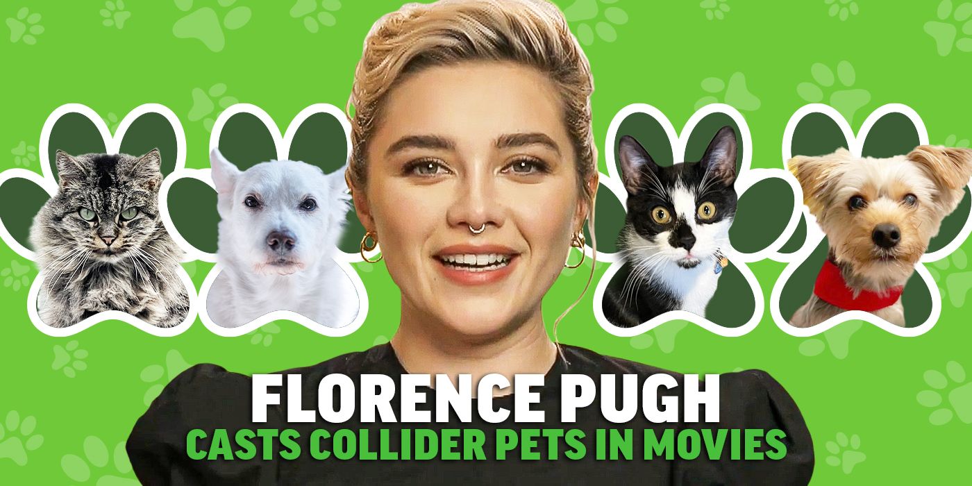 Florence Pugh Casts Collider Pets in Movies