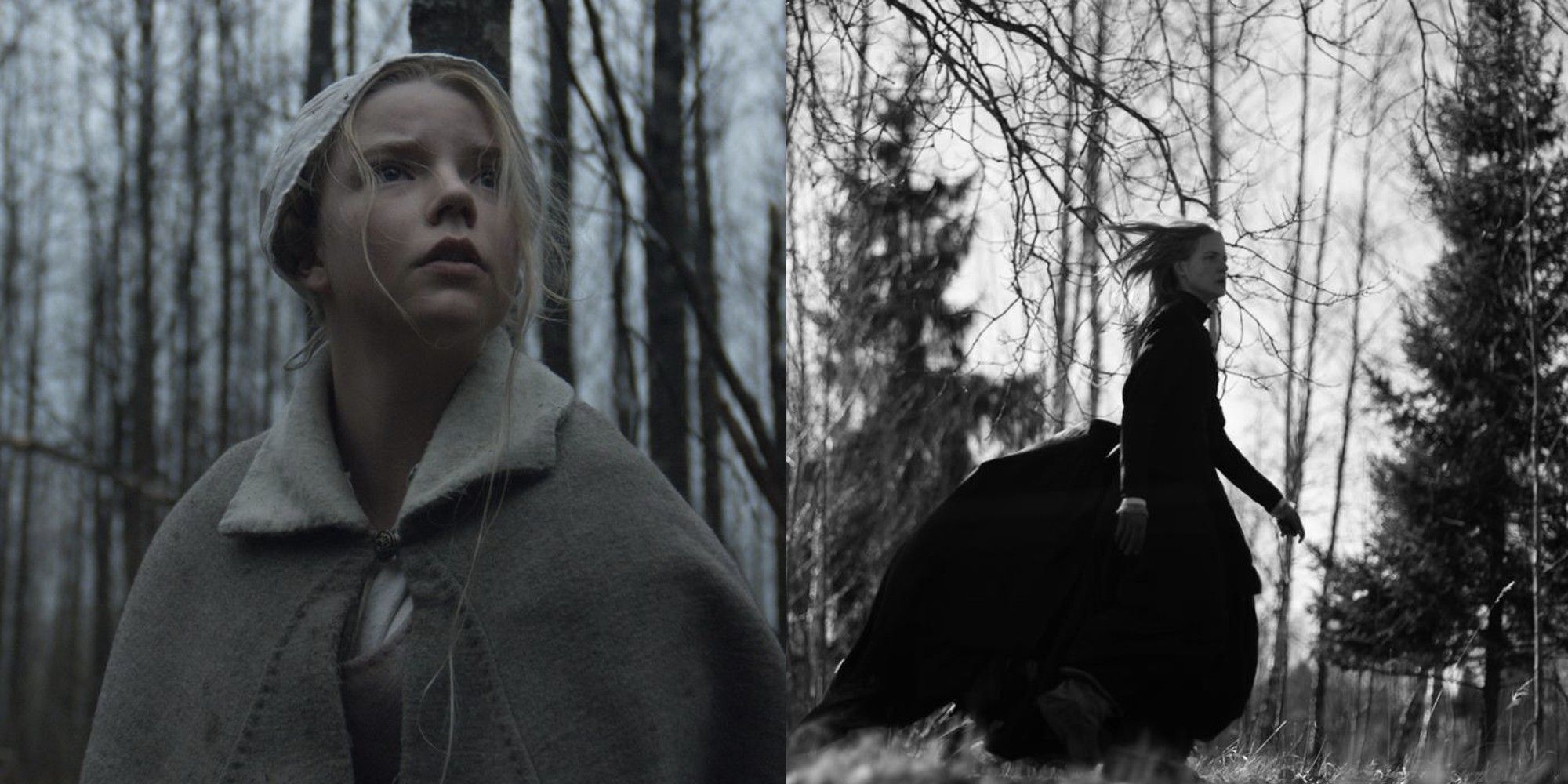 'The Witch' and 'November'