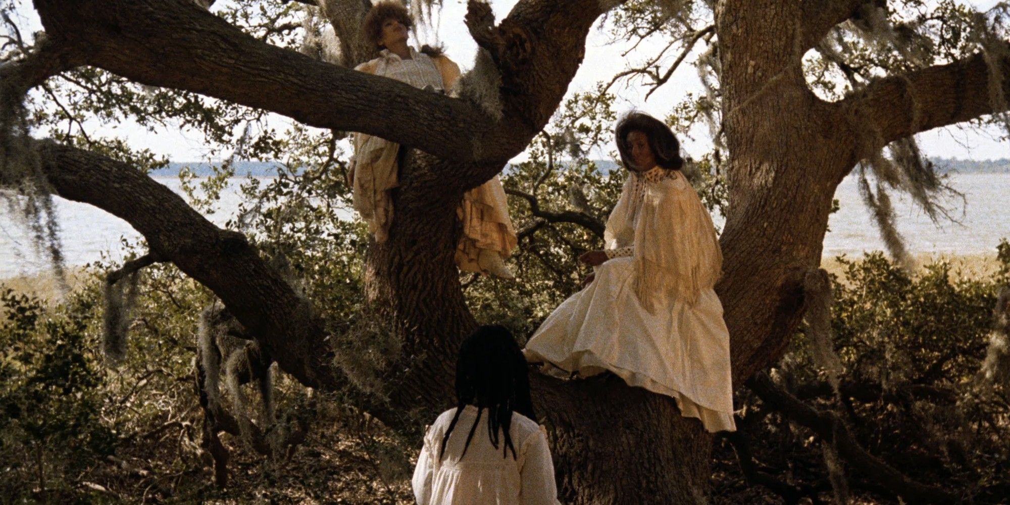 Trula Hoosier, Barbarao, and Alva Rogers all sit on a tree in 'Daughters of the Dust'