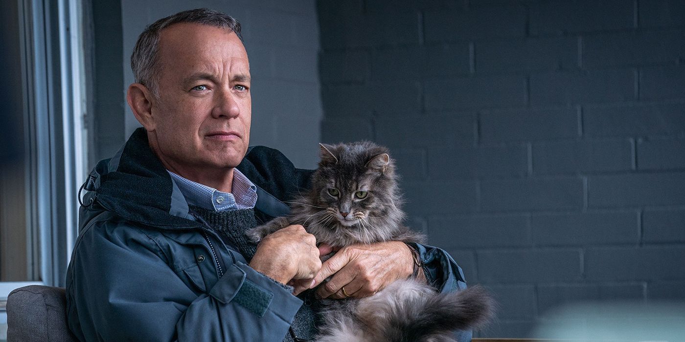 Tom Hanks holds a cat in A Man Called Otto