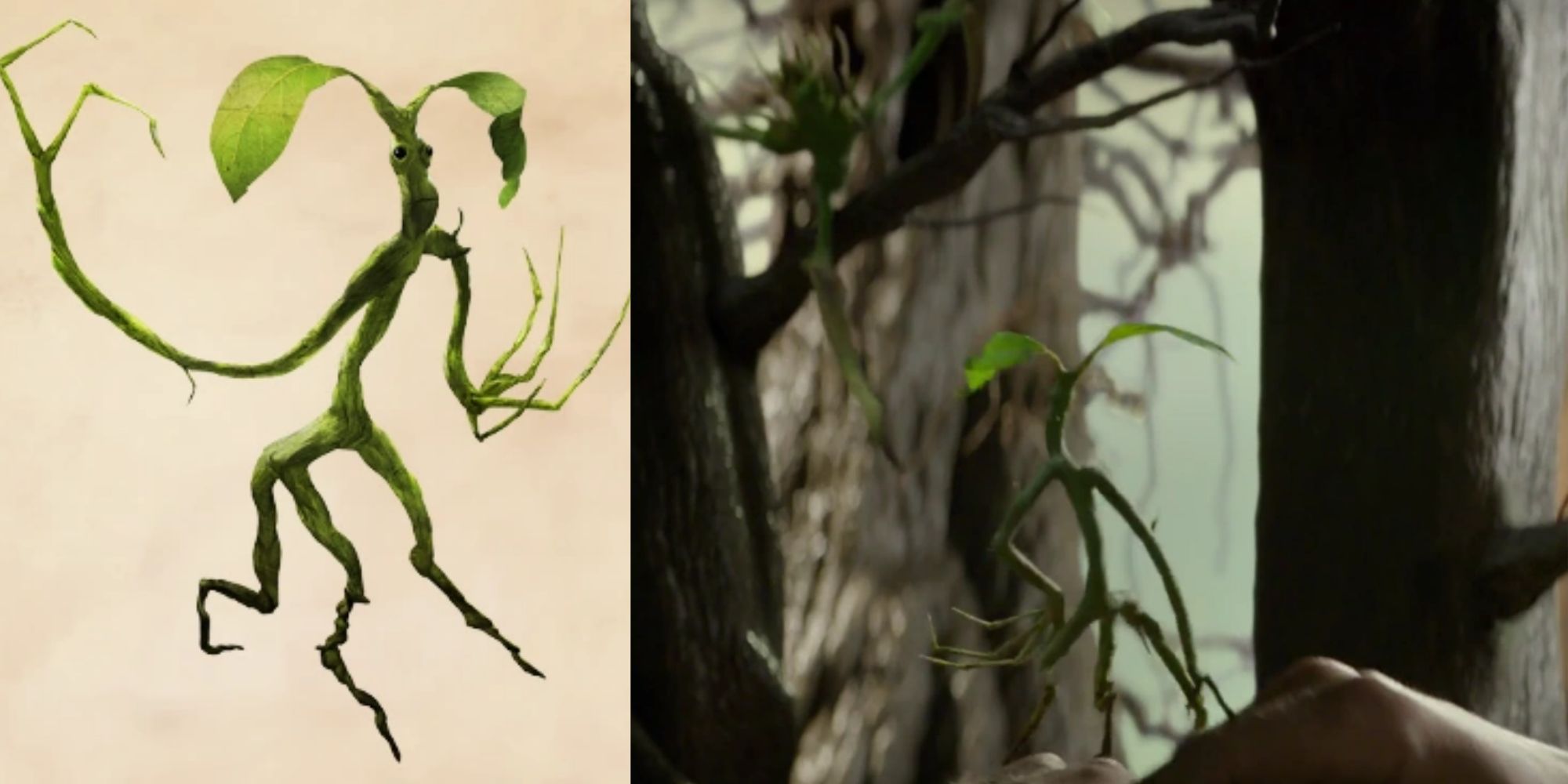 Bowtruckle in Fantastic Beasts