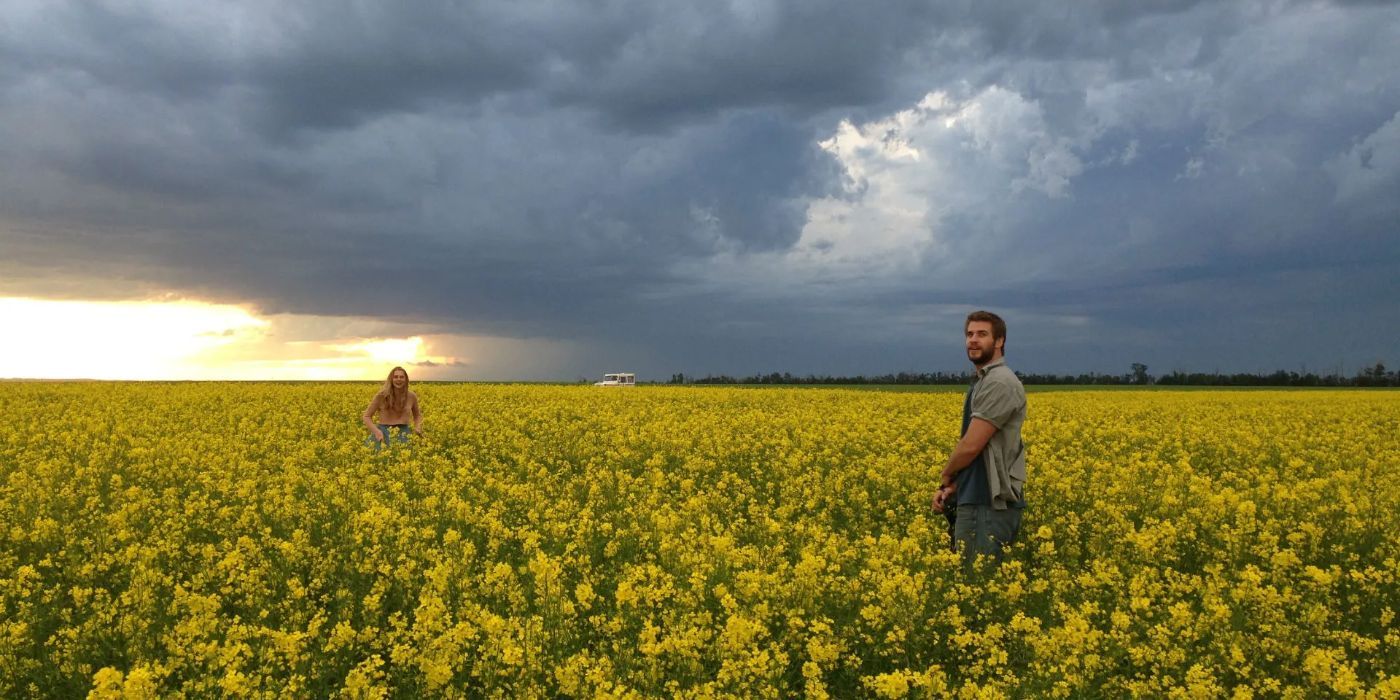 Characters in a field in Cut Bank (1)
