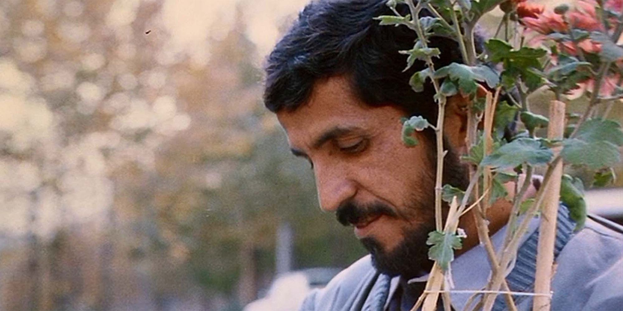 gros plan-kiarostami-1990
