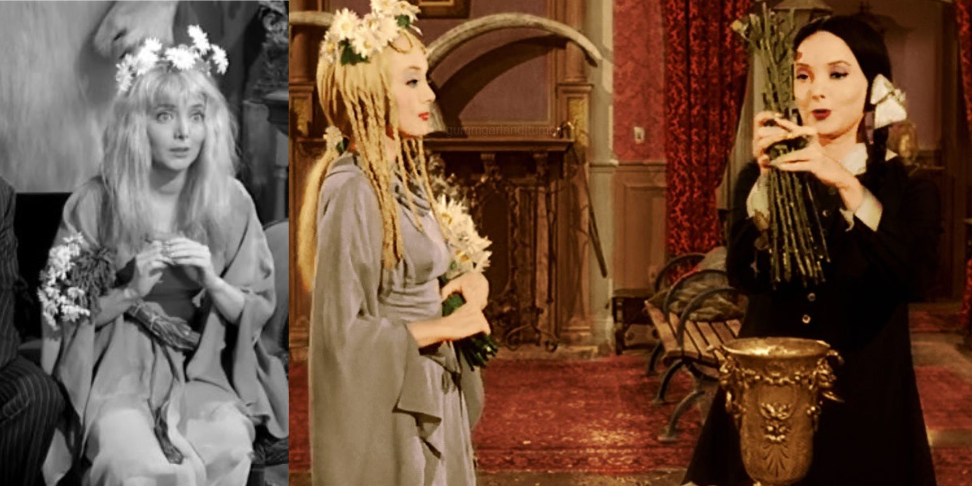 Uma coleção de duas capturas de tela de Carolyn Jones retratando Ophelia Frump e Mortica Addams em The Addams Family (1964) e Halloween with the New Addams Family (1977)