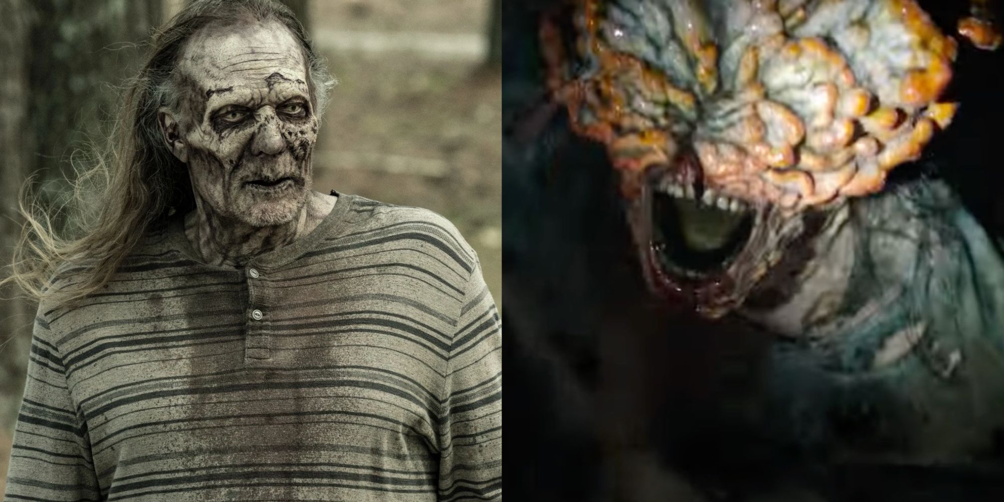 Breaking Down the Different Types of Zombies