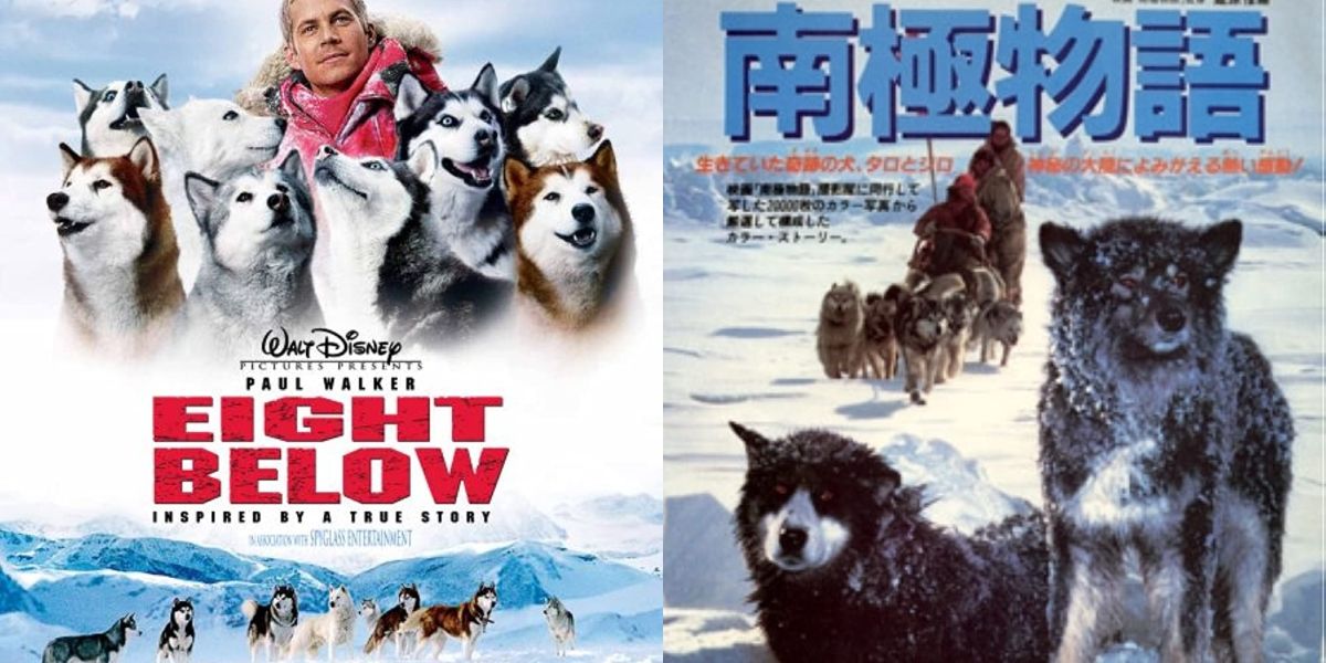 Eight Below 1