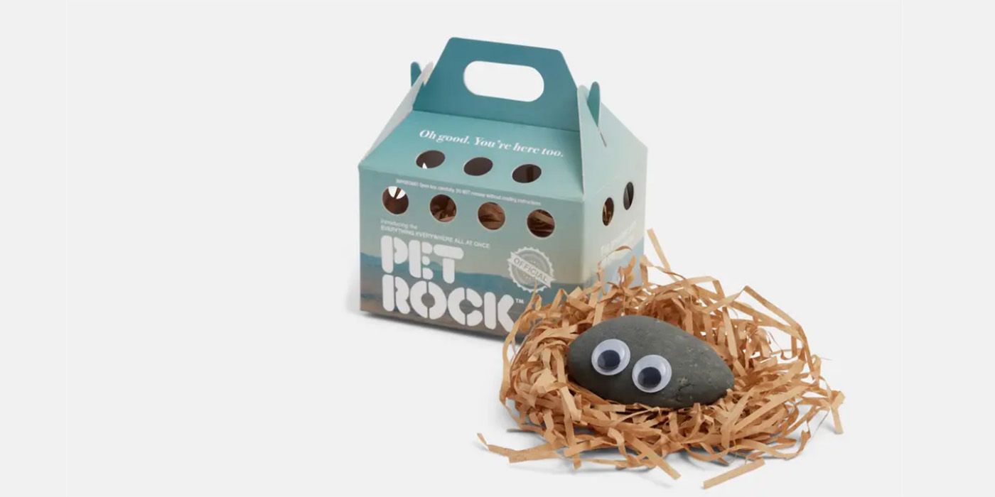 Everything Everywhere All At Once: A24 Selling Pet Rock Following Oscar Noms