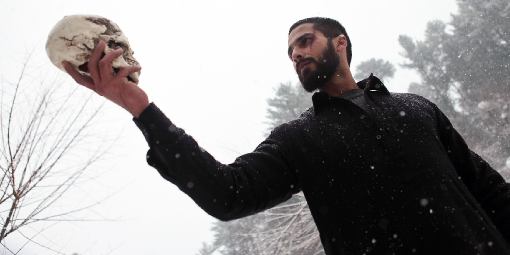 Haider - 2014