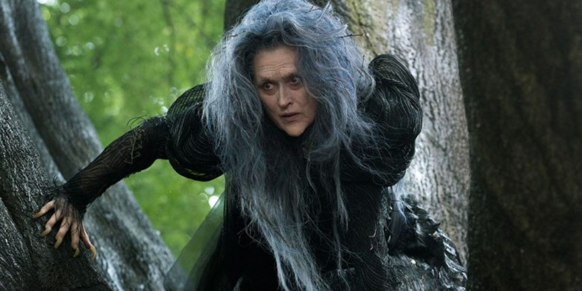 Into the Woods’ (2014) - The Witch (1)