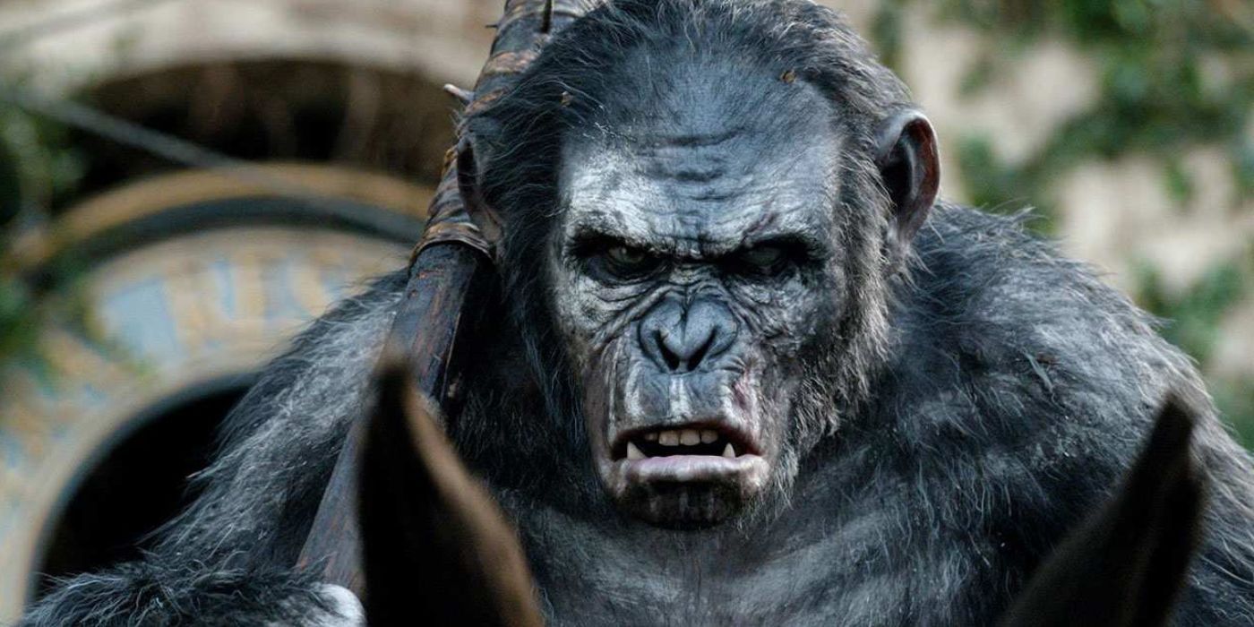 'Kingdom of the of the Apes' Wraps Filming