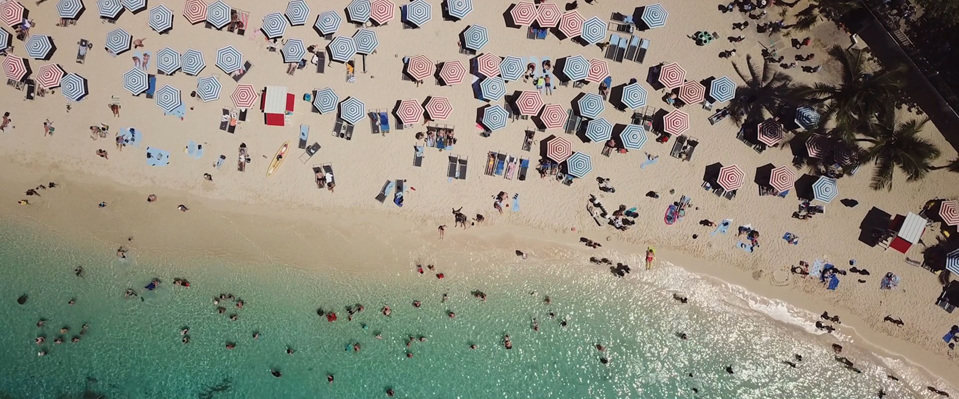 Last Tourist Hulu documentary beach