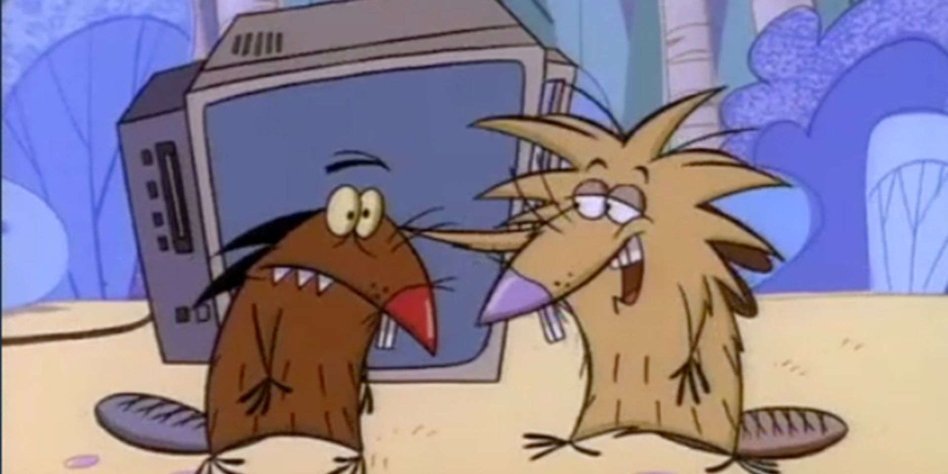 'The Angry Beavers'