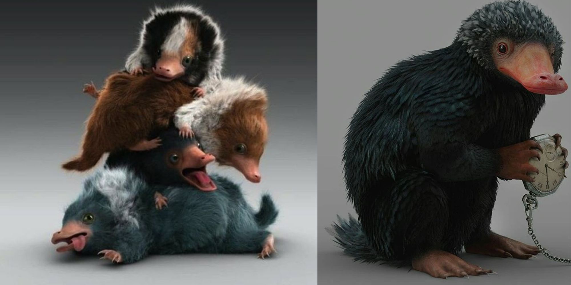 Niffler in Fantastic Beasts