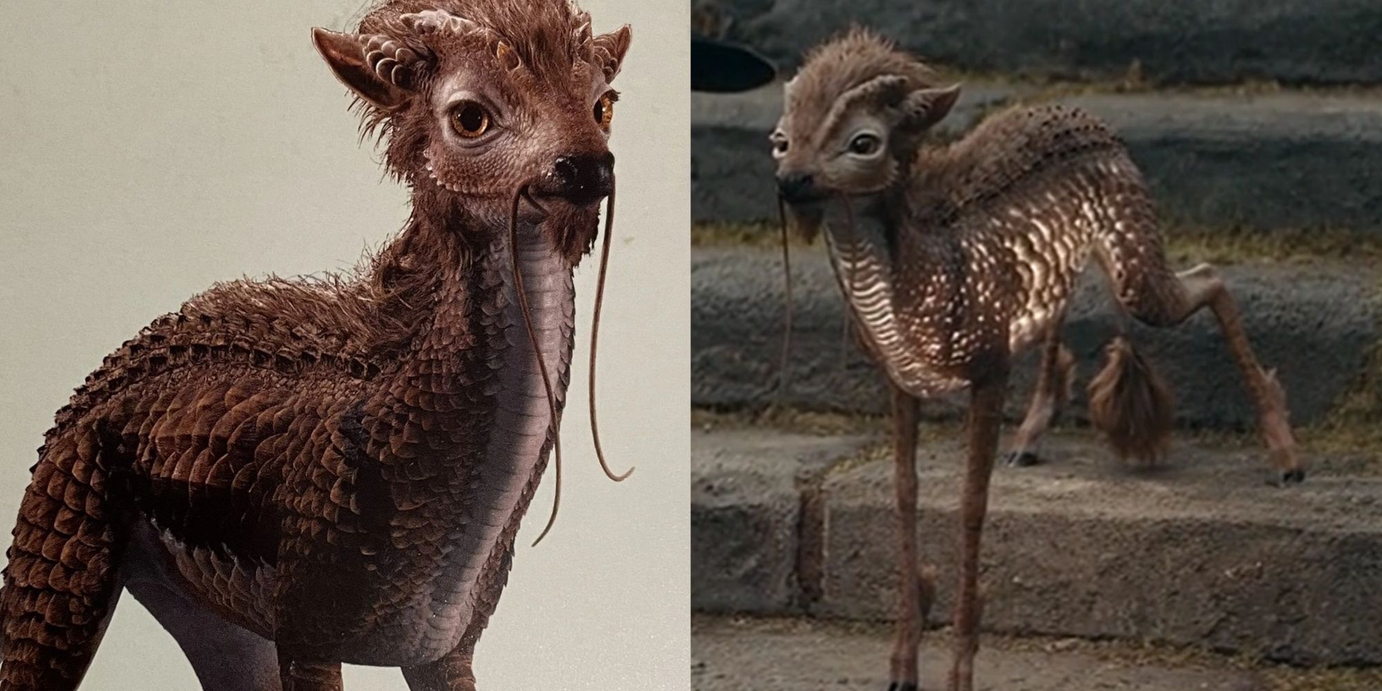 Qilin in Fantastic Beasts