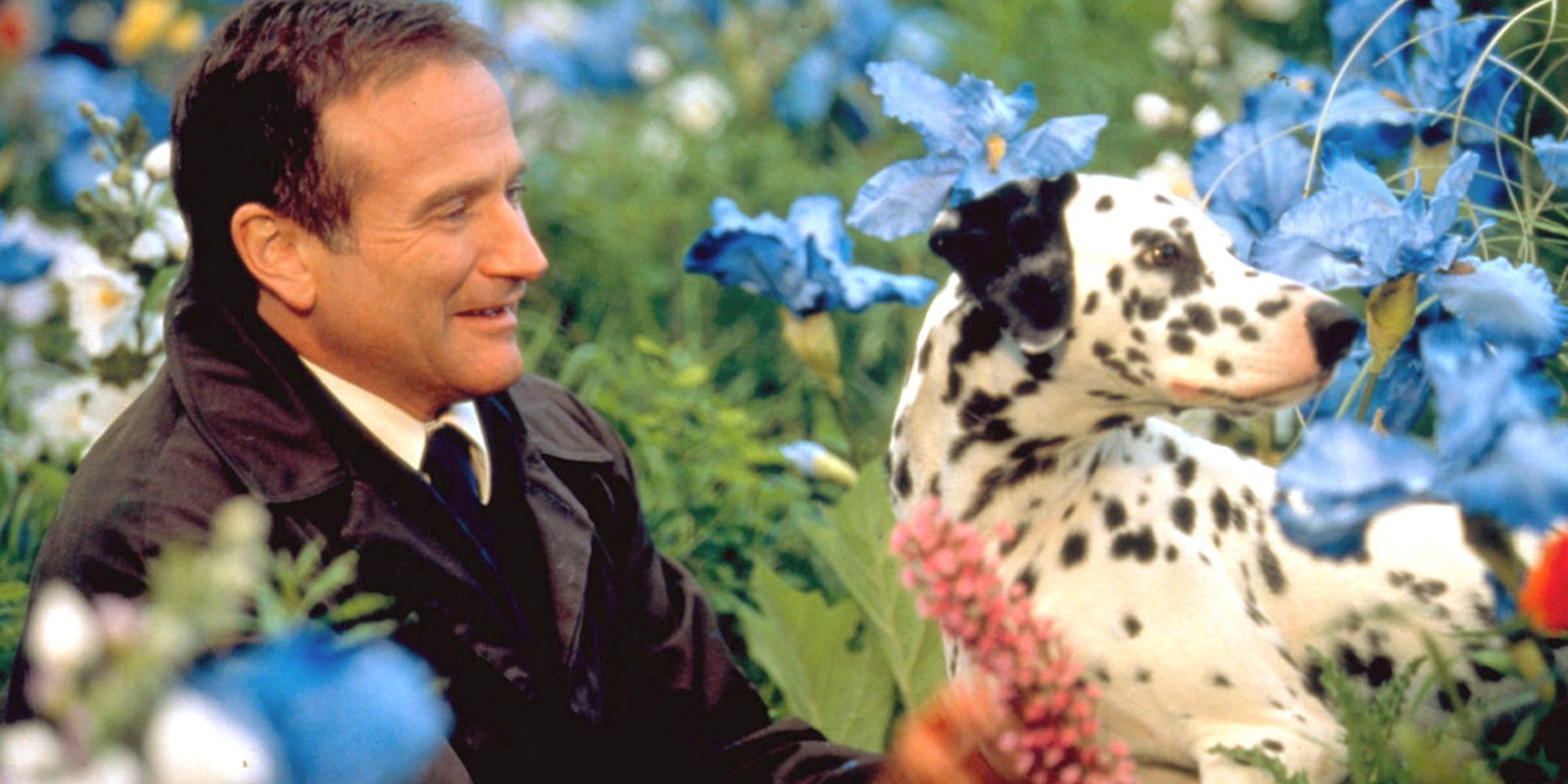 Robin Williams senta-se em um campo de flores com um cachorro dálmata em What Dreams May Come