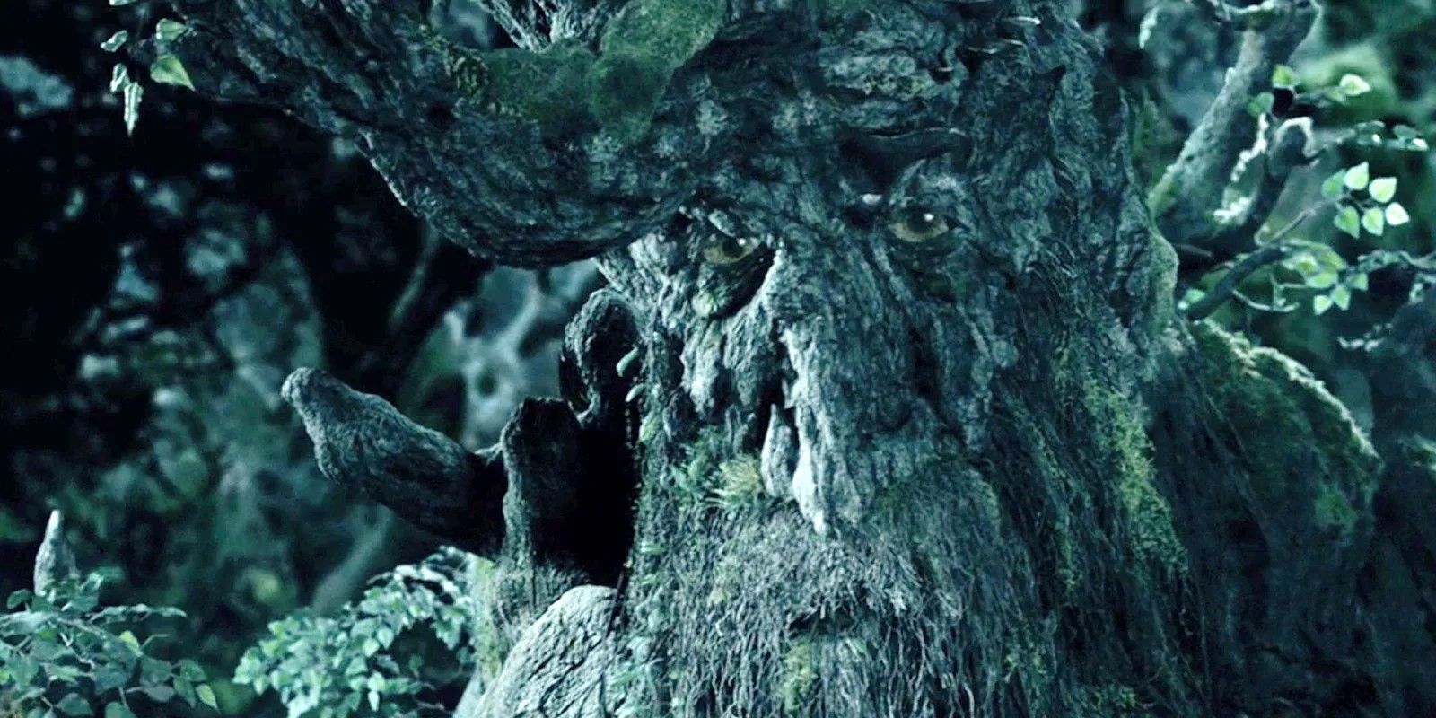 The Ent Treebeard in The Lord Of The Rings