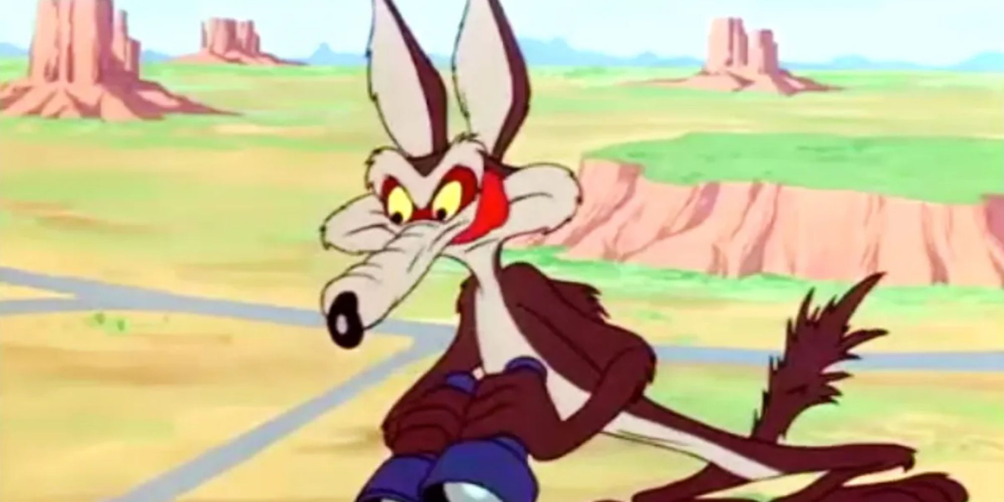 Wile E. Coyote em Looney Tunes