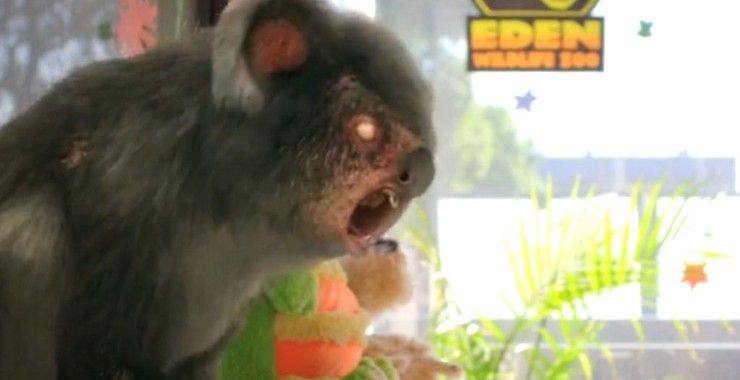 zombie-koala-dari-zoombies